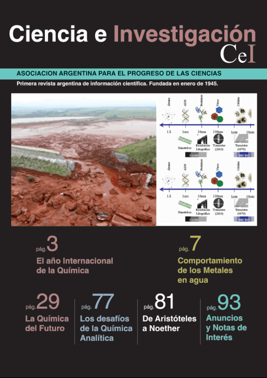 img_revista_cei_tapaN61-4