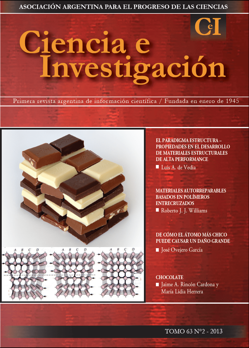 img_revista_cei_tapaN63-2