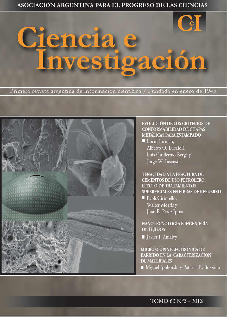 img_revista_cei_tapaN63-3