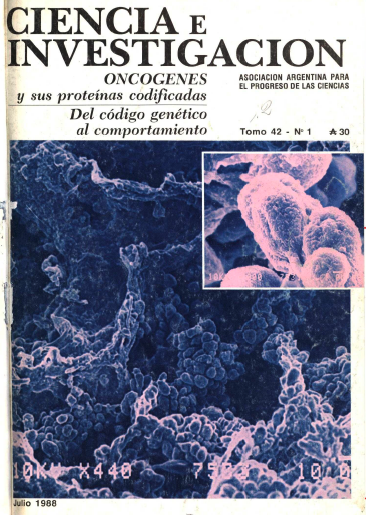 Tapa_Tomo42_1